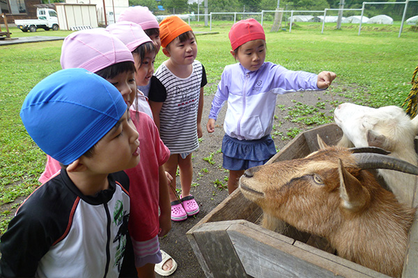 やぎと、こどもたち